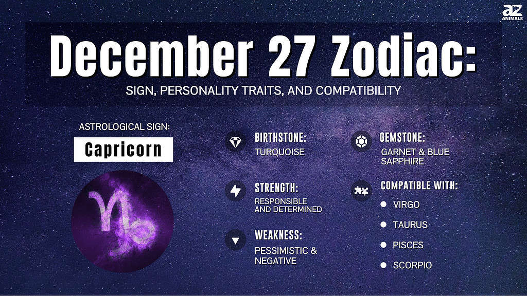 10+ Dec 20 Zodiac Traits Uncovered