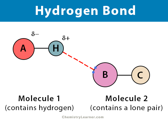 11 5 Hydrogen Bonds Chemistry Libretexts