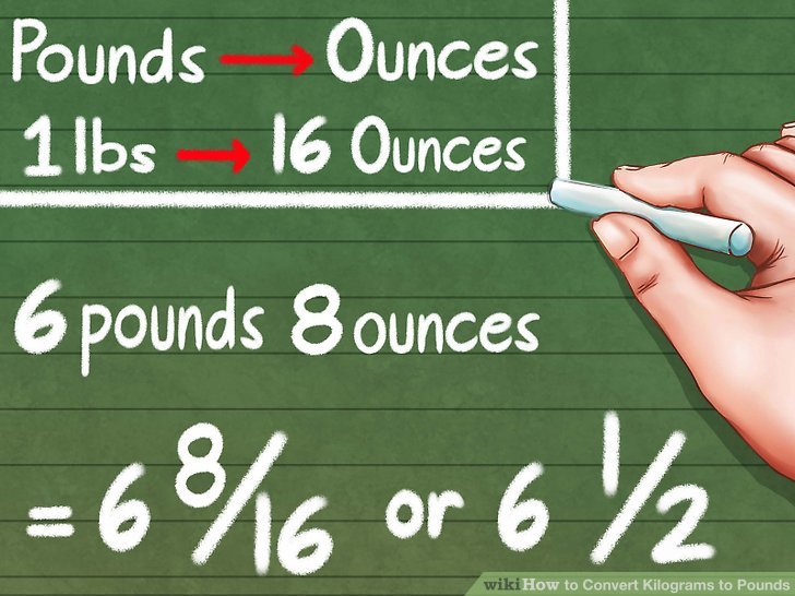 260 Kg In Pounds: Equals 573 Pounds Exactly