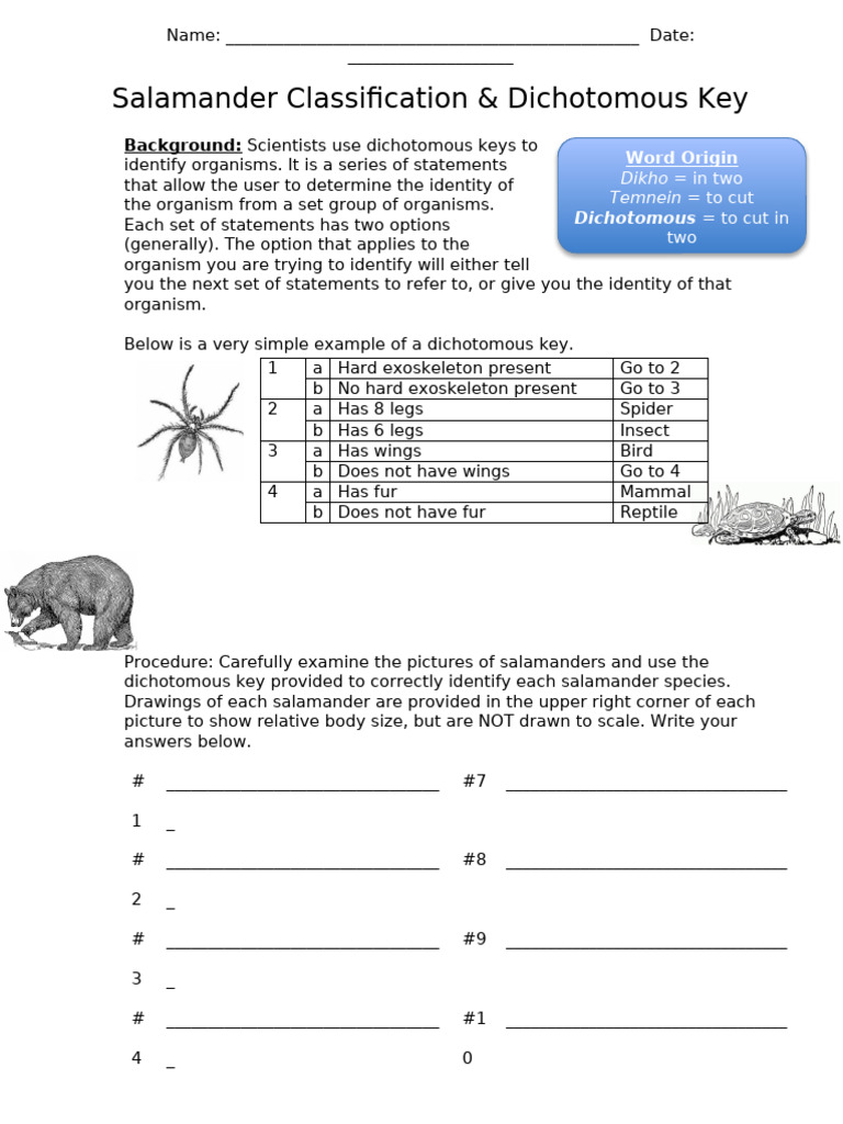 Amphibian Insight: Salamander Classification