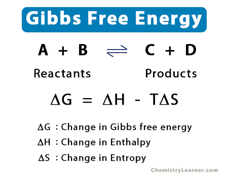 How To Calculate Gibbs Free Energy? Easy Formula Guide