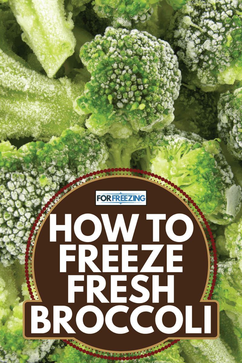 How To Freeze Fresh Broccoli Freezing Food Guide Fresh Food Frozen