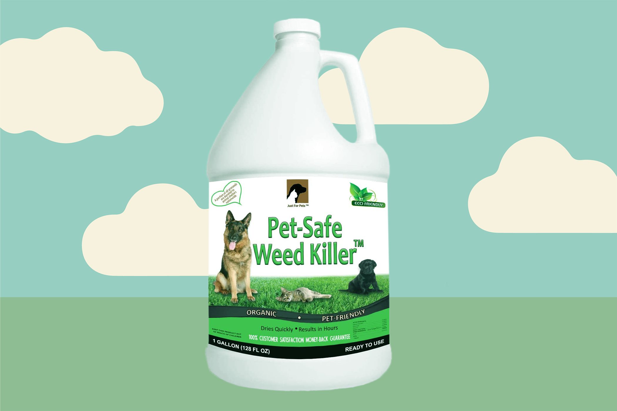 How To Use Bramble Weed Killer? Safe Control Methods