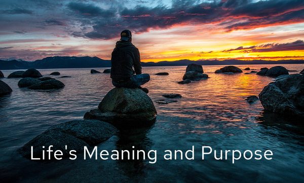 Purpose Uncovered: Your Life's Meaning