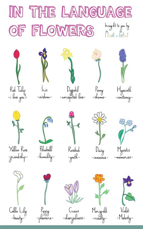 The Victorian Language Of Flowers Allowed 19Th Century Lovers Or