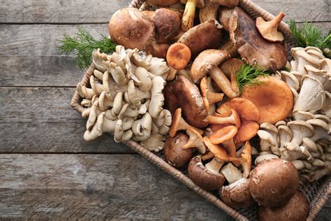 What Are Mushrooms? A Veggie Guide